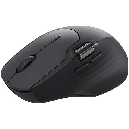 Мышь беспроводная Rapoo MT560 Wireless Black