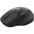 Мышь беспроводная Rapoo MT560 Wireless Black
