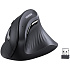Мышь беспроводная Ugreen MU008 (25444) Black Wireless