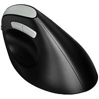 Мышь Rapoo EV200 Black