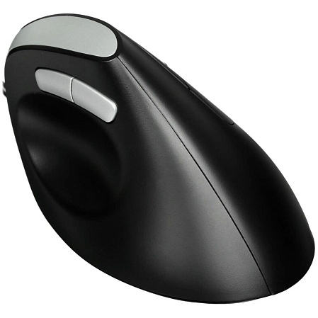 Мышь Rapoo EV200 Black