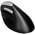 Мышь Rapoo EV200 Black
