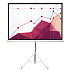 Cactus 180x180см Triscreen, 1:1,  рулонный