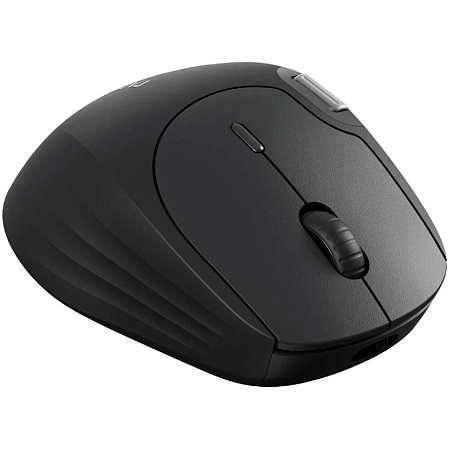Мышь беспроводная Rapoo MT560 Wireless Black