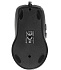 Мышь A4Tech N-708X-1 Black